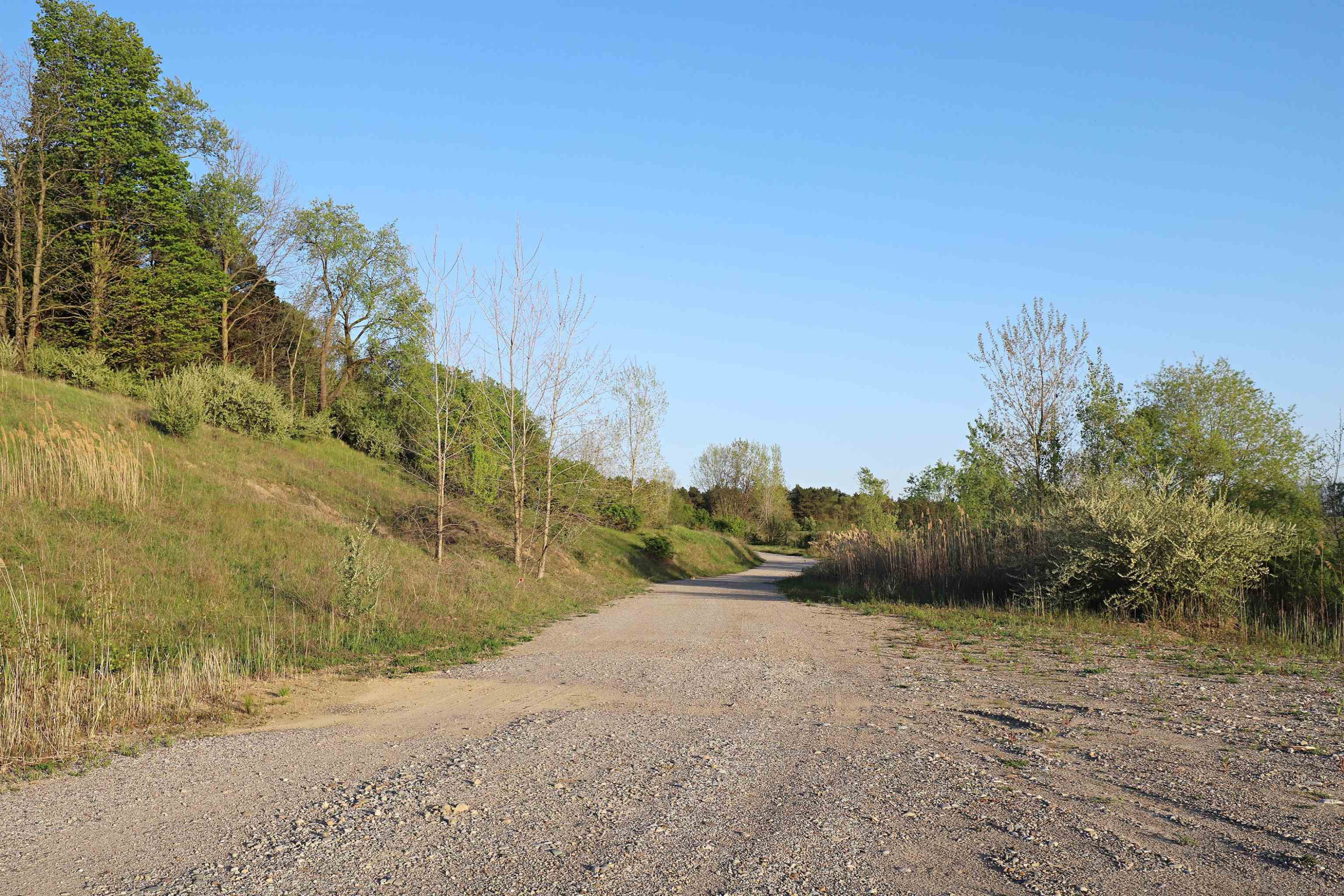 10241 N McKinley Road, Montrose, MI 48457 — Photo 21