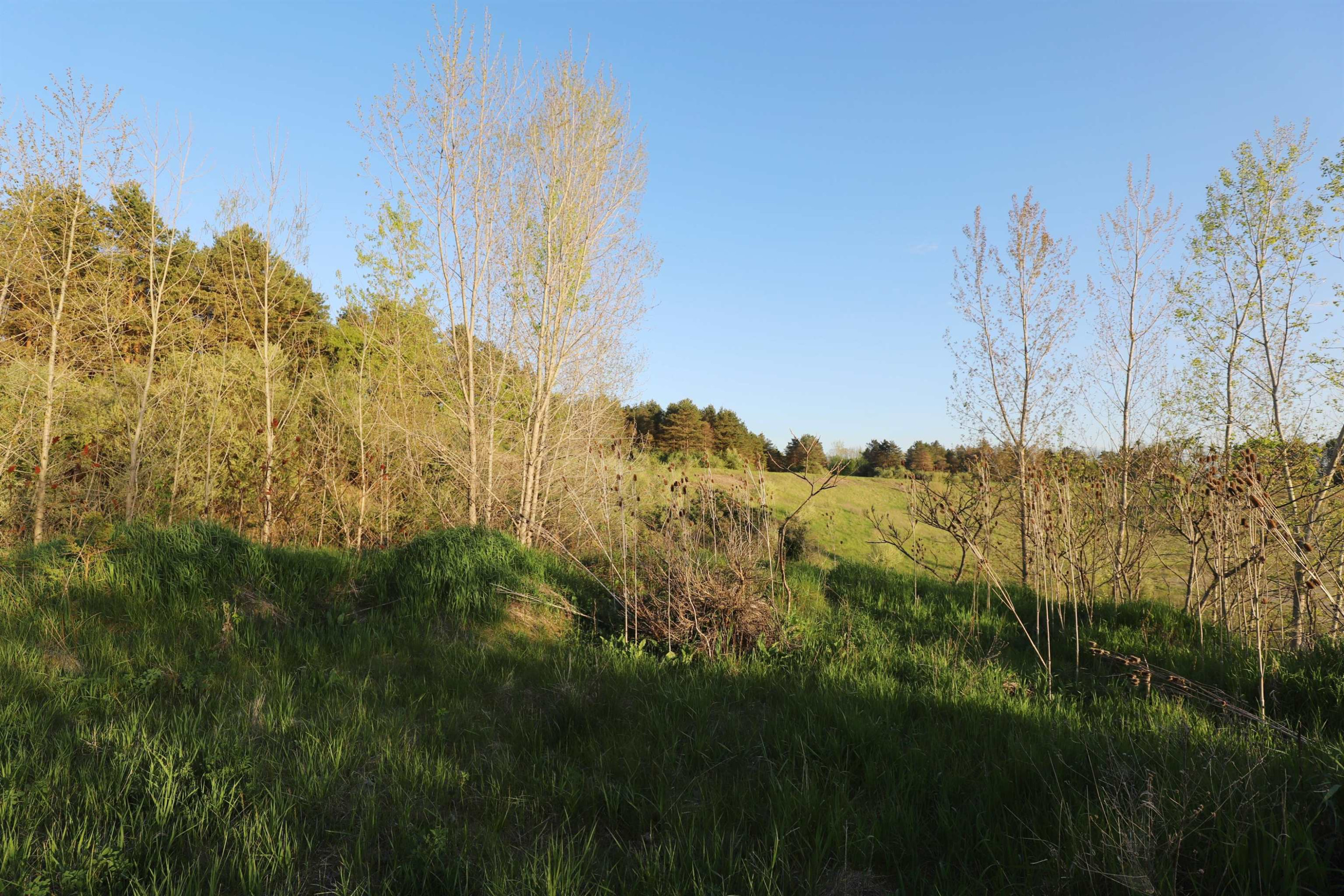 10241 N McKinley Road, Montrose, MI 48457 — Photo 25