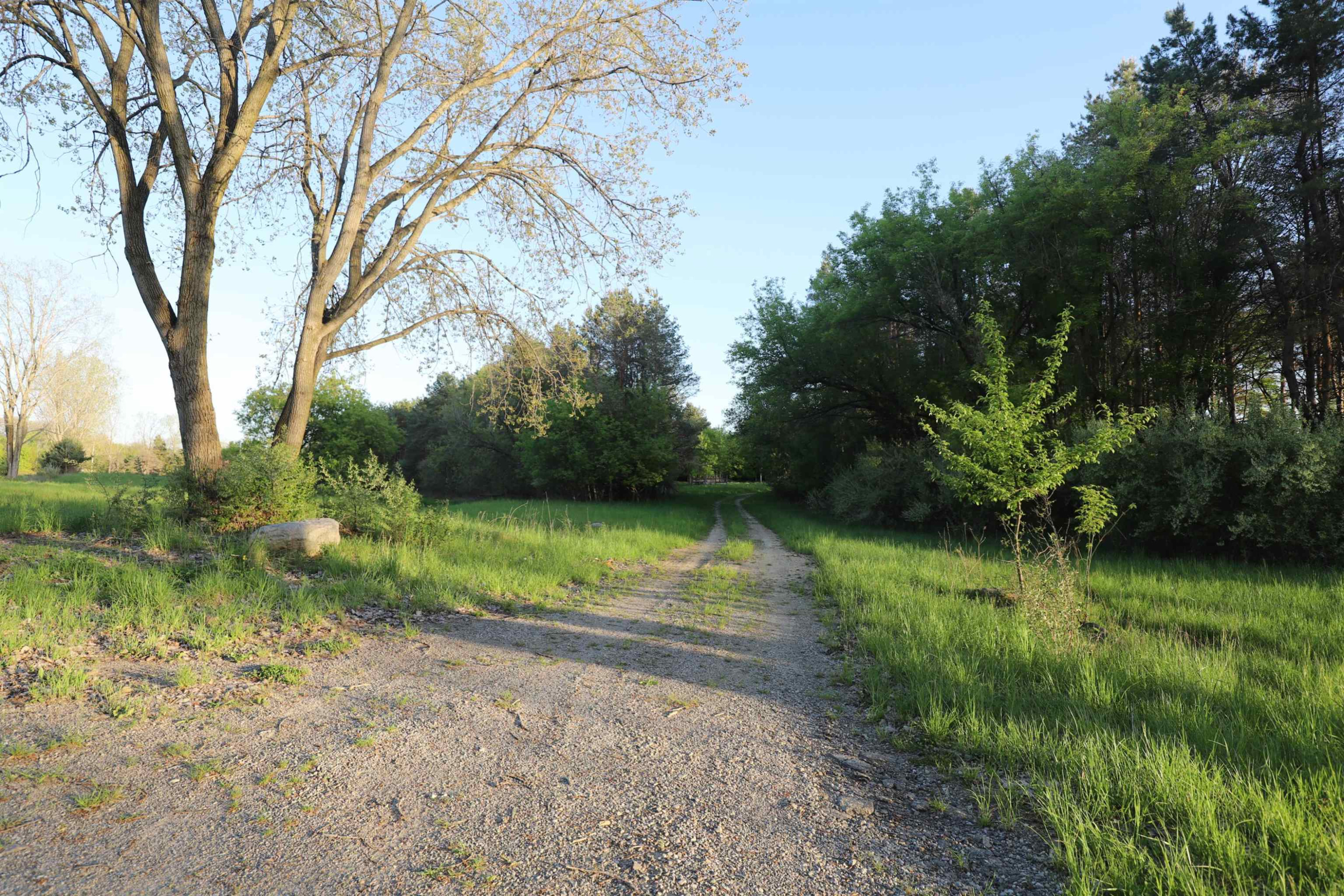 10241 N McKinley Road, Montrose, MI 48457 — Photo 28