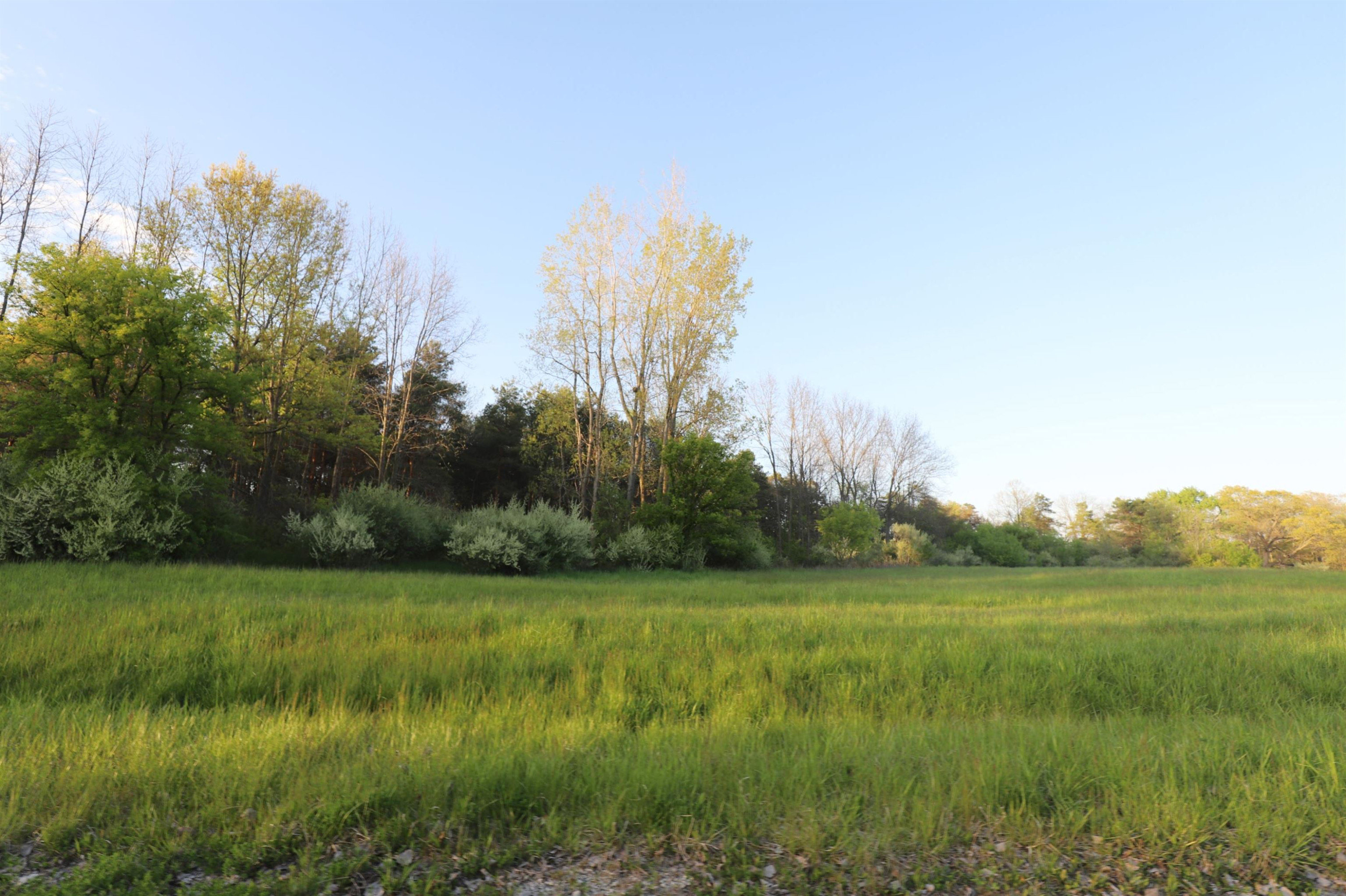 10241 N McKinley Road, Montrose, MI 48457 — Photo 30