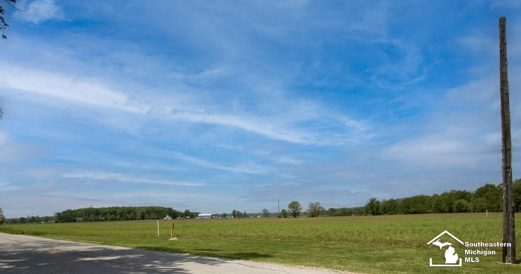 00 Fay Road, Carleton, MI 48117 — Photo 4