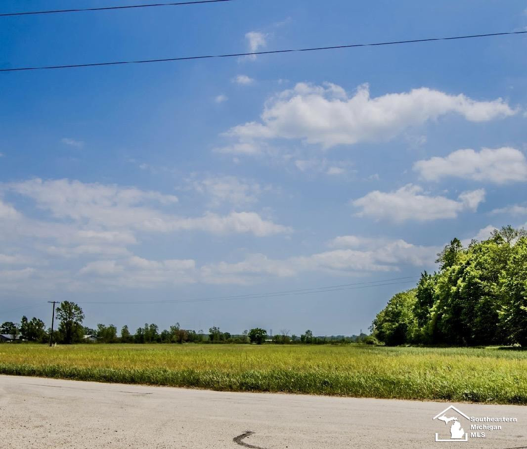 000 Fay Road, Carleton, MI 48117 — Photo 4