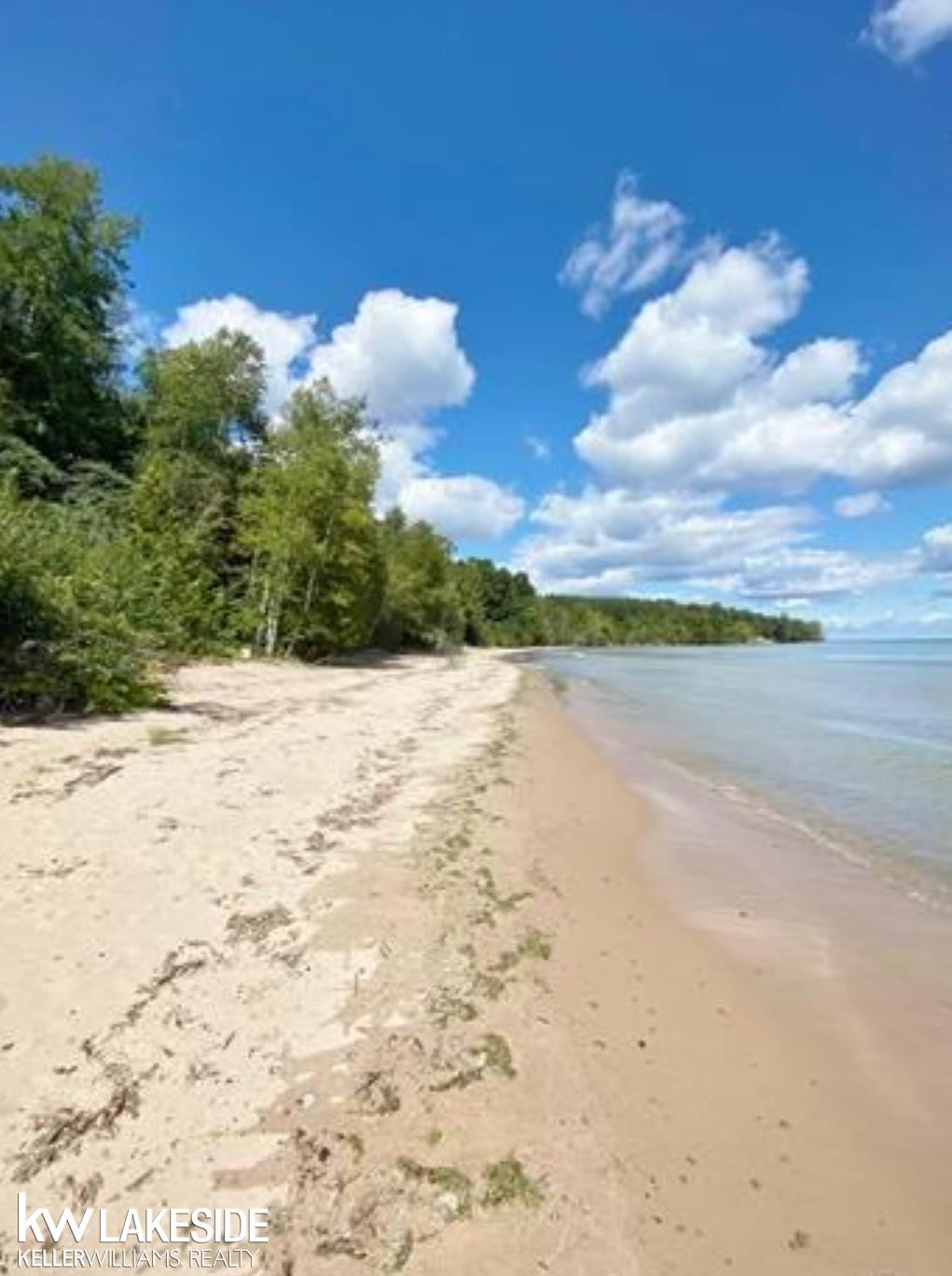 6248 Lakeshore Drive, Palms, MI 48465 — front exterior