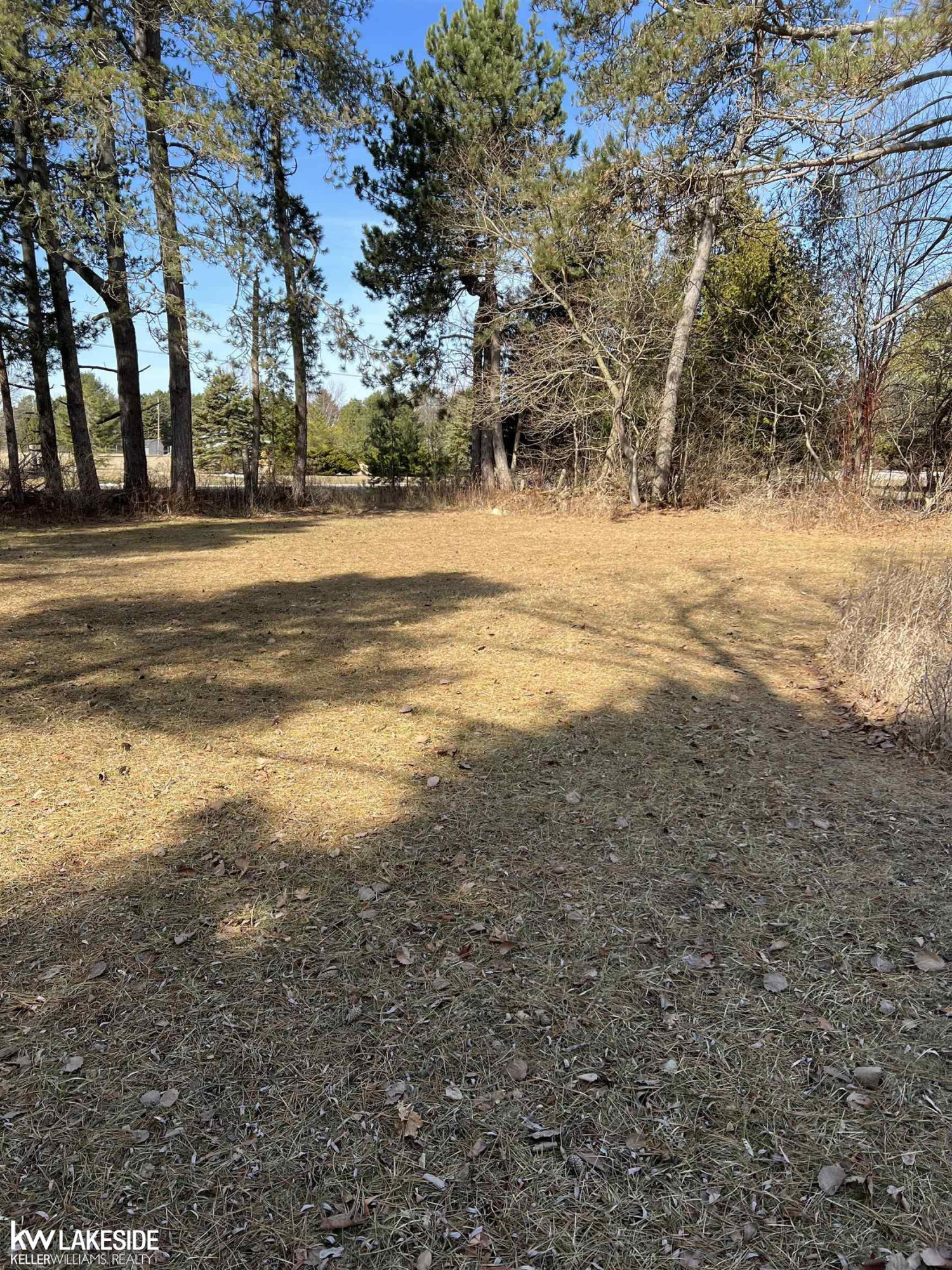 6248 Lakeshore Drive, Palms, MI 48465 — Photo 3