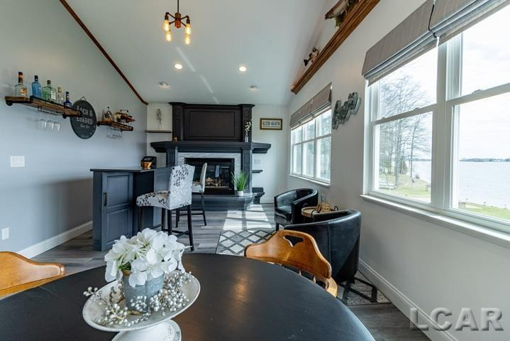 7729 Kingsley Drive, Onsted, MI 49265 — Photo 51