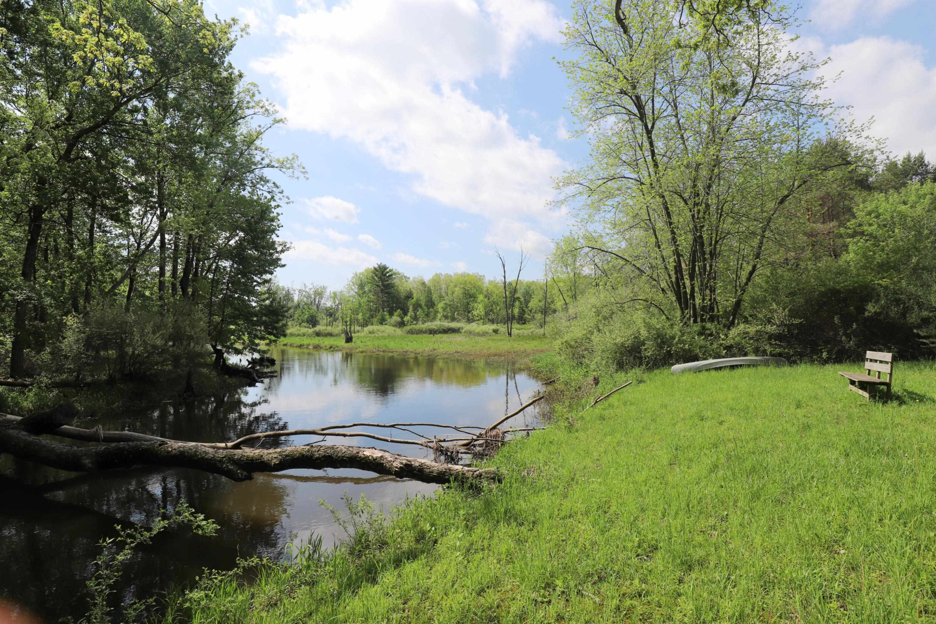 12215 Lillie Road, Byron, MI 48418 — Photo 4