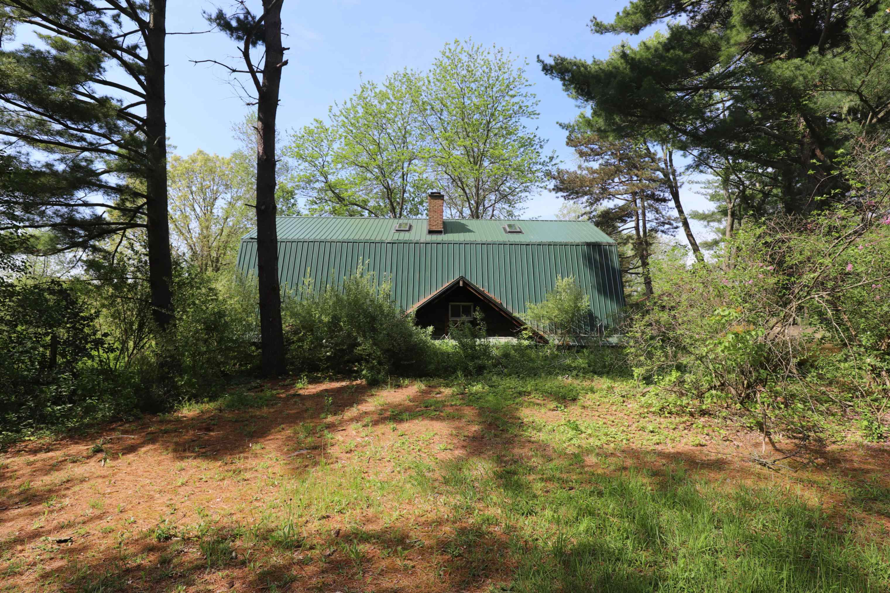 12215 Lillie Road, Byron, MI 48418 — Photo 5