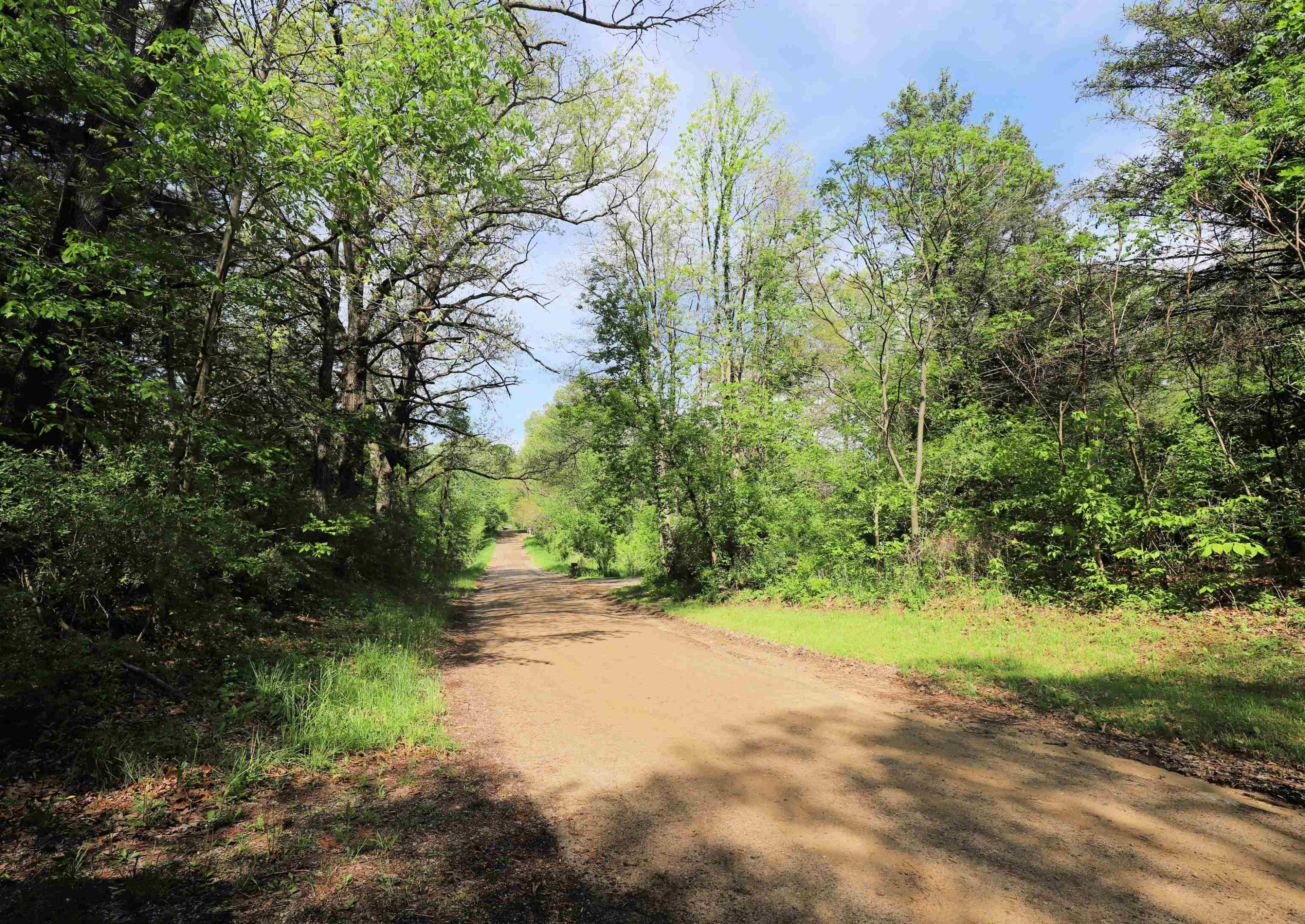 12215 Lillie Road, Byron, MI 48418 — Photo 8