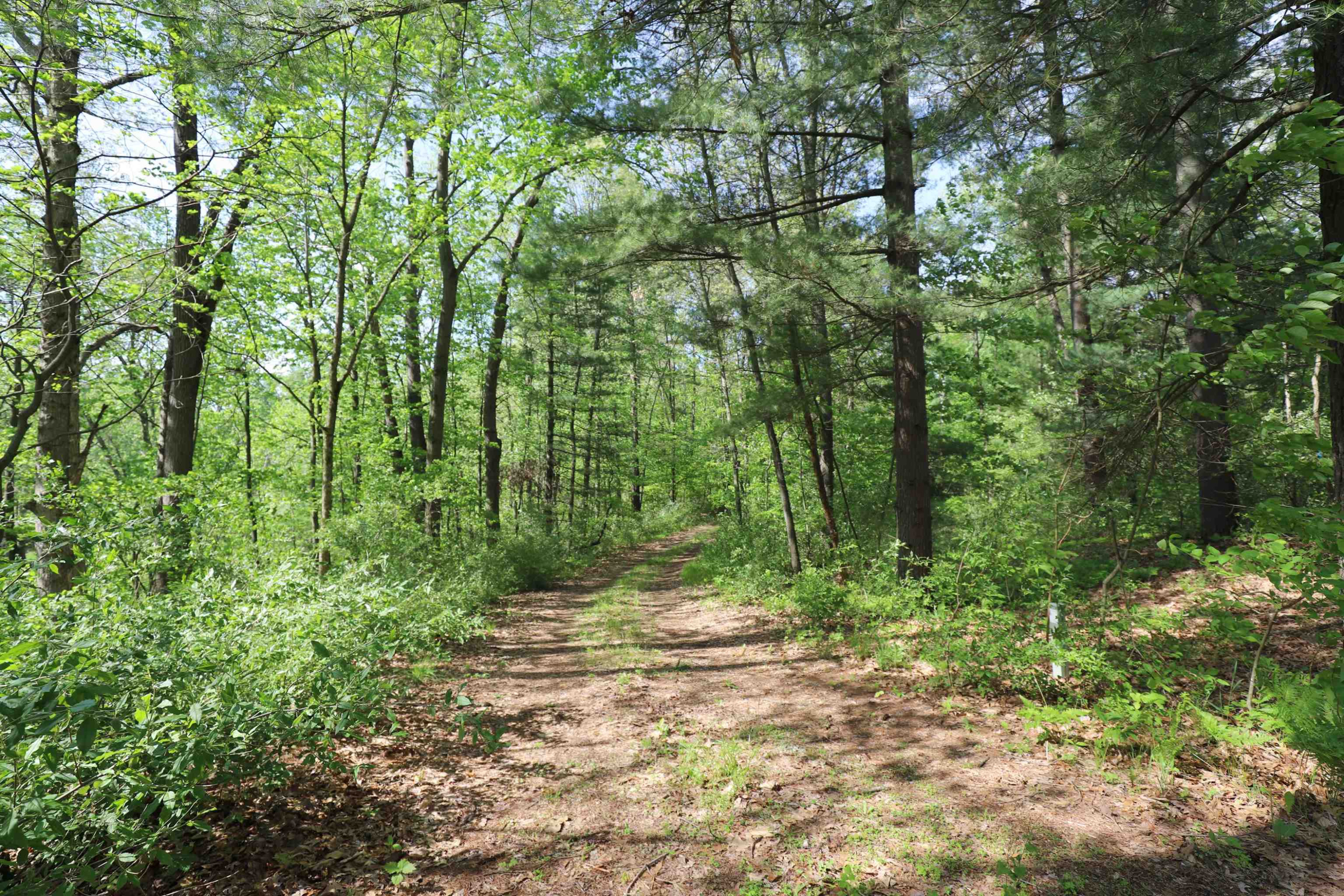12215 Lillie Road, Byron, MI 48418 — Photo 10