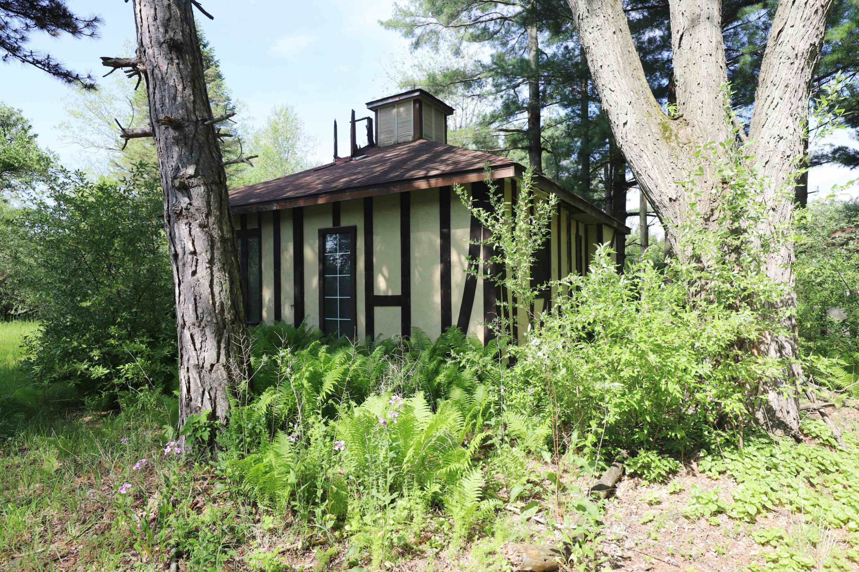 12215 Lillie Road, Byron, MI 48418 — Photo 11