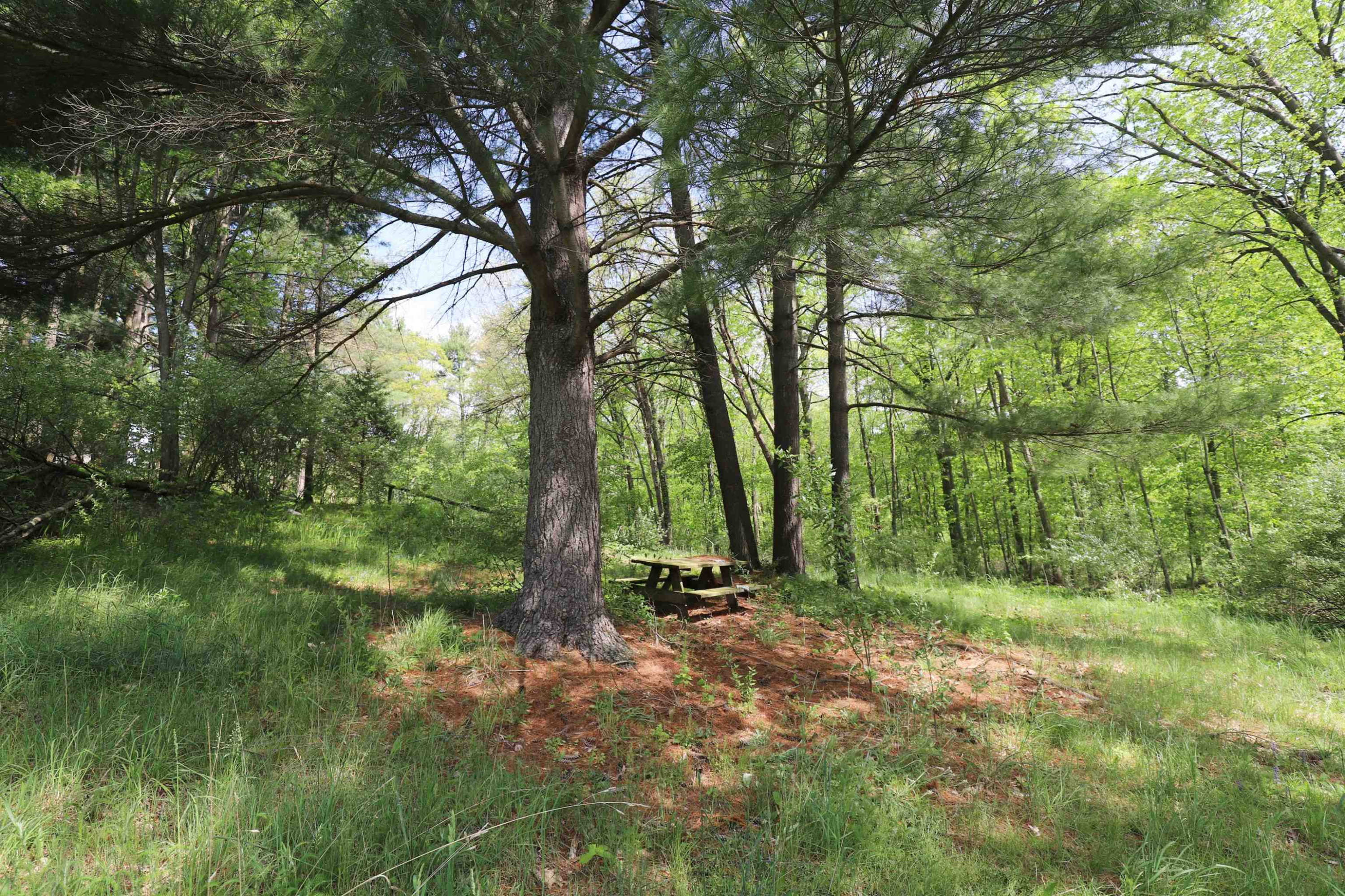 12215 Lillie Road, Byron, MI 48418 — Photo 25