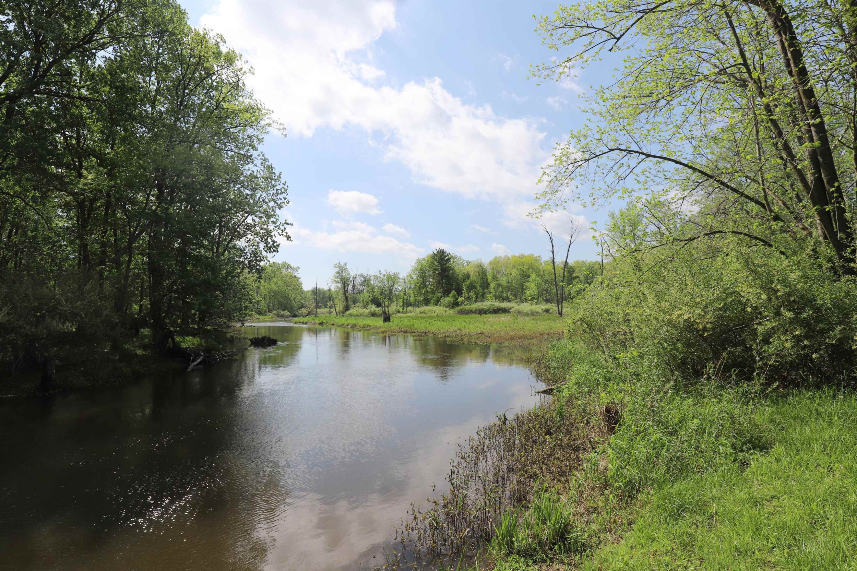 12215 Lillie Road, Byron, MI 48418 — Photo 30