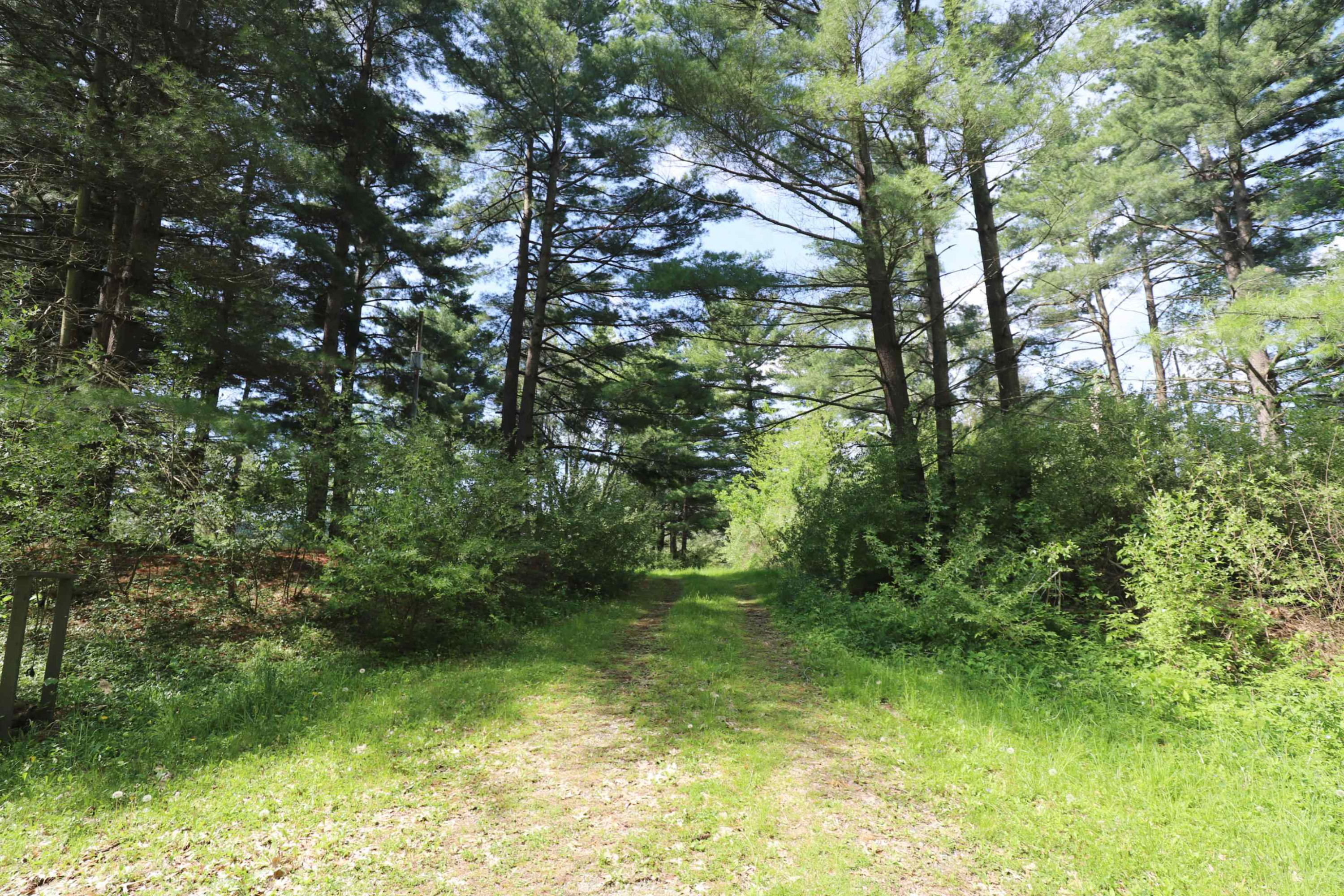 12215 Lillie Road, Byron, MI 48418 — Photo 34