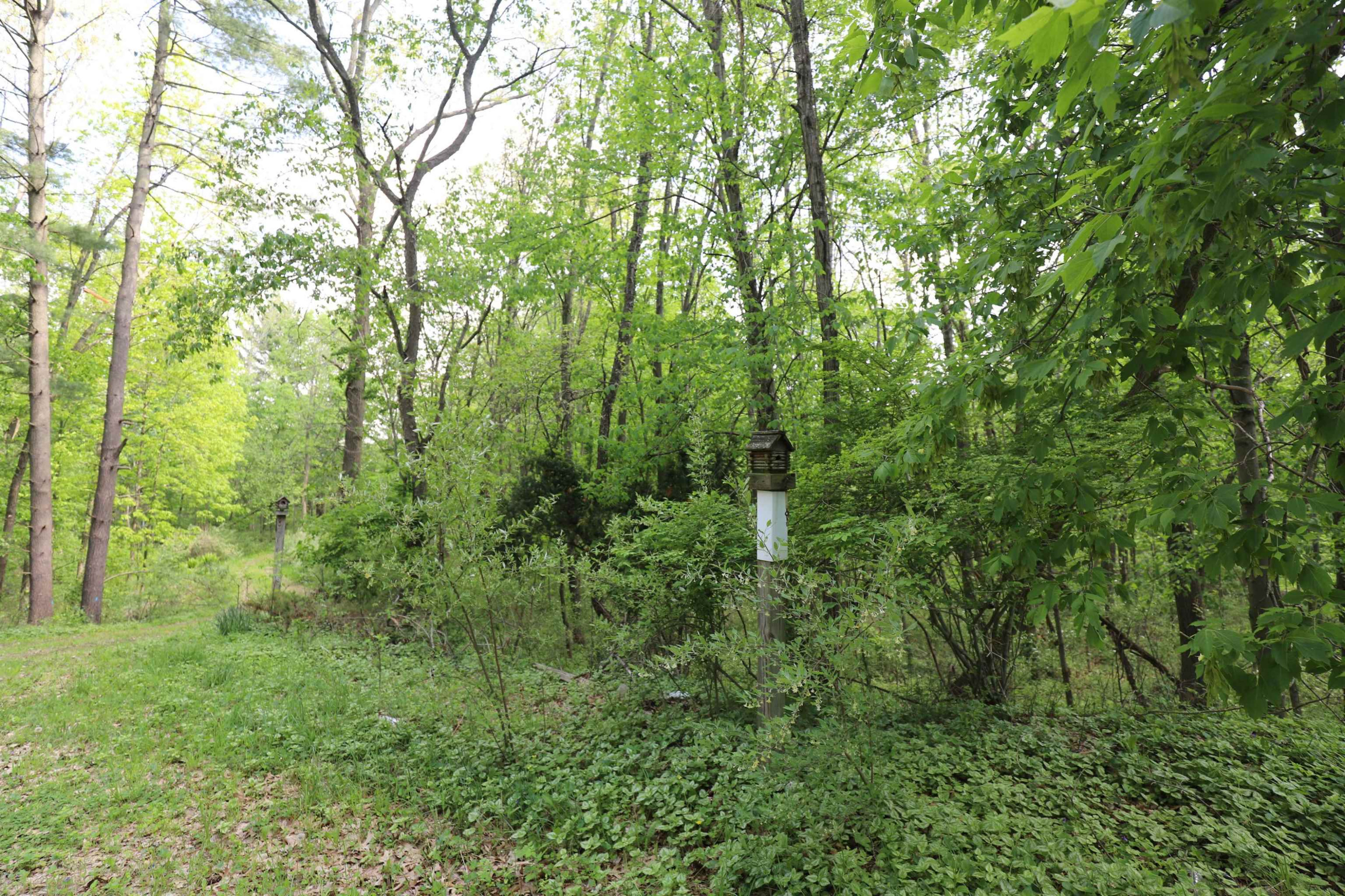 12215 Lillie Road, Byron, MI 48418 — Photo 35