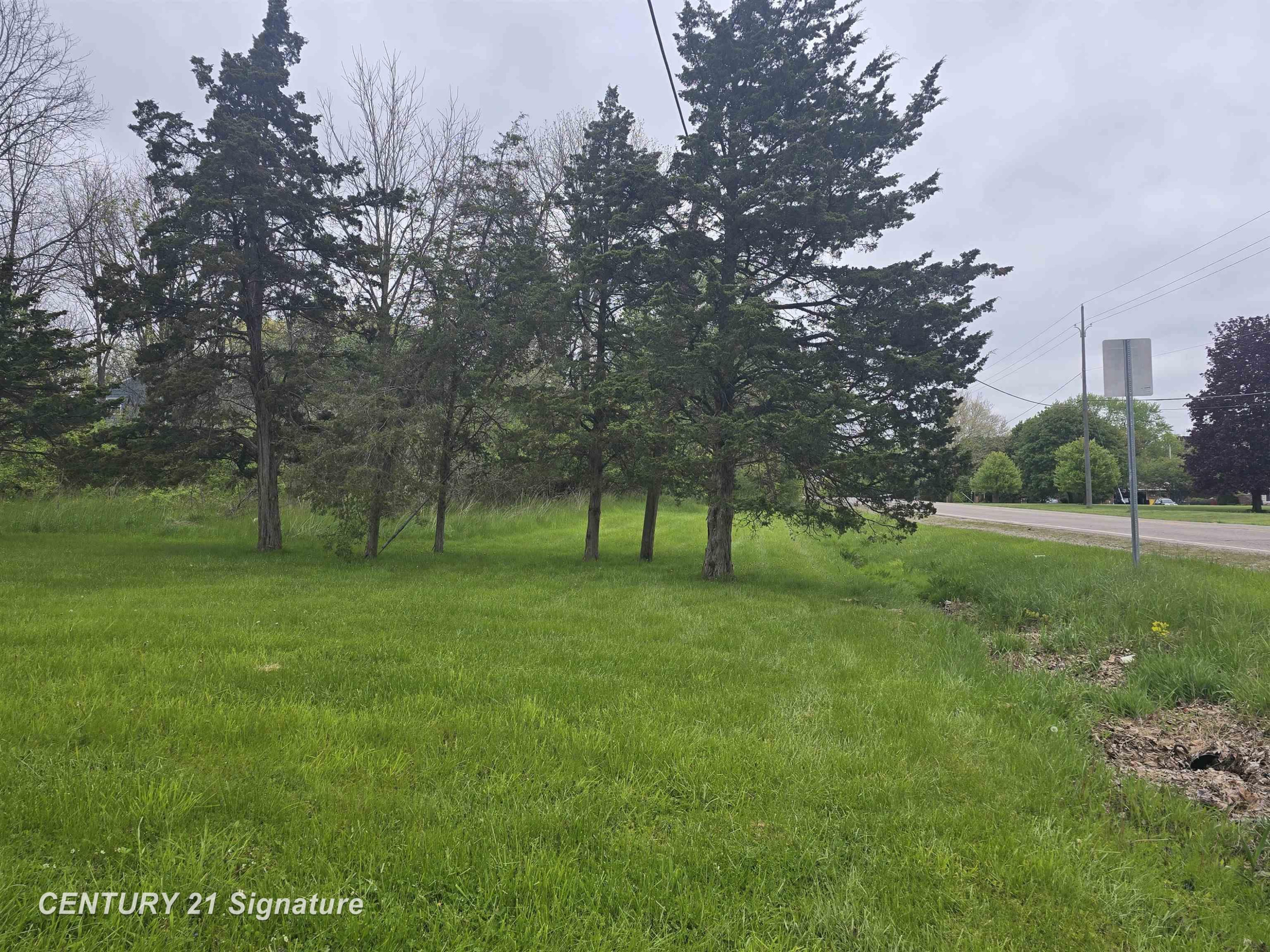 Dye Road, Flint, MI 48532 — Photo 2