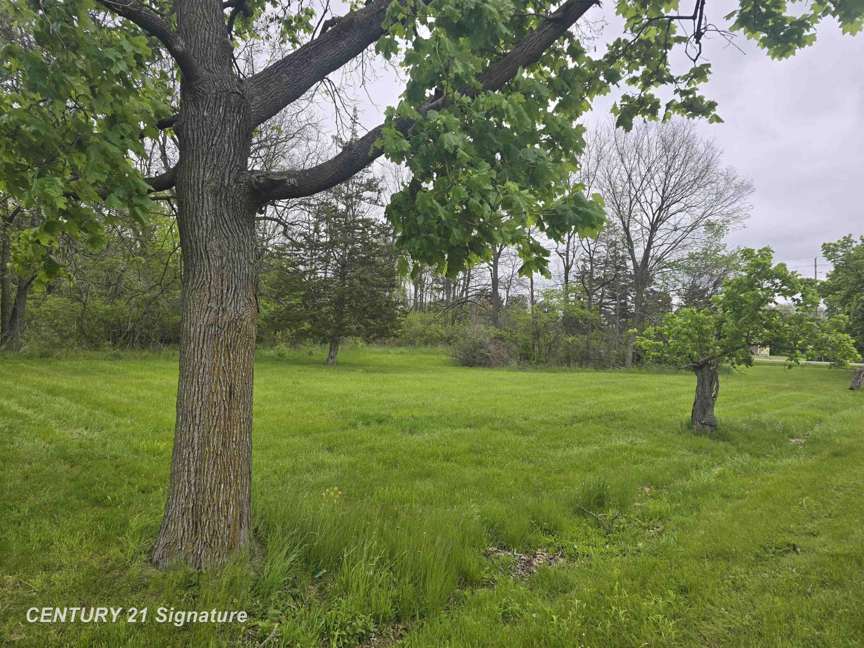 Dye Road, Flint, MI 48532 — Photo 4