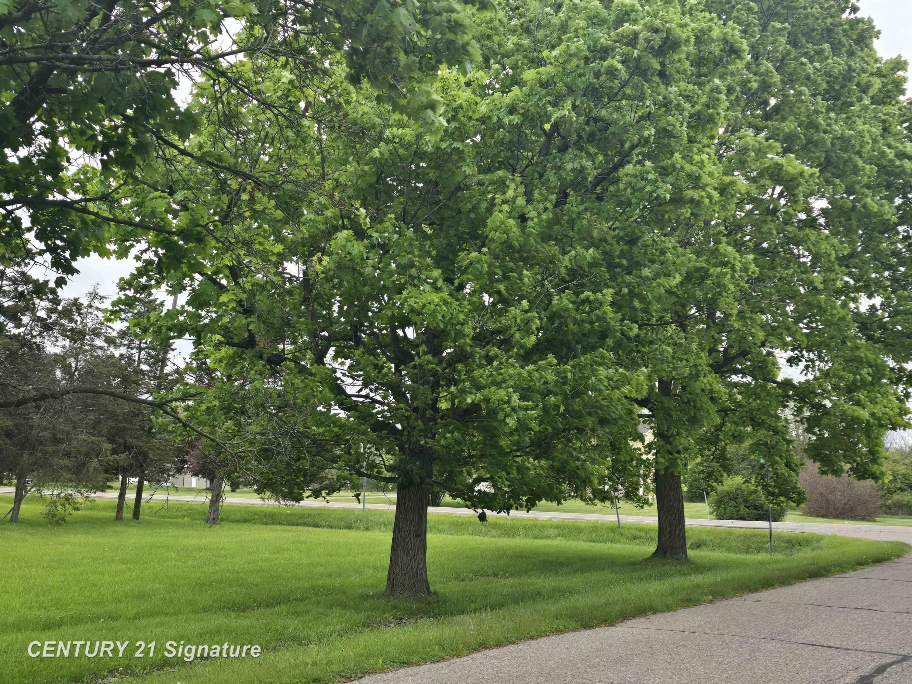 Dye Road, Flint, MI 48532 — Photo 5