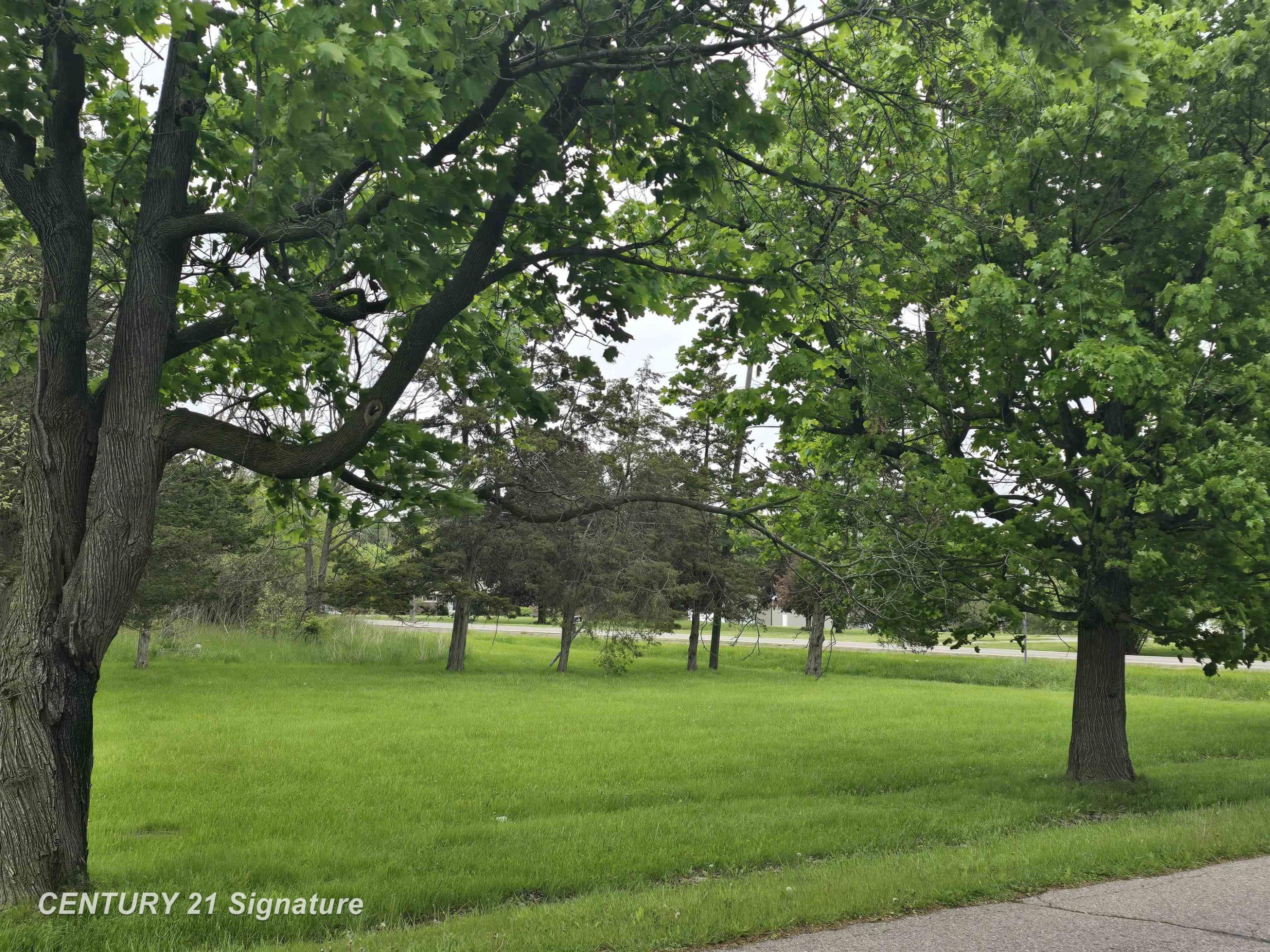 Dye Road, Flint, MI 48532 — Photo 6