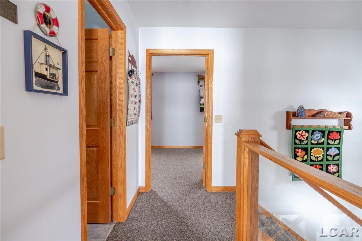 9920 W Ferndale Drive, Manitou Beach, MI 49253 — Photo 29
