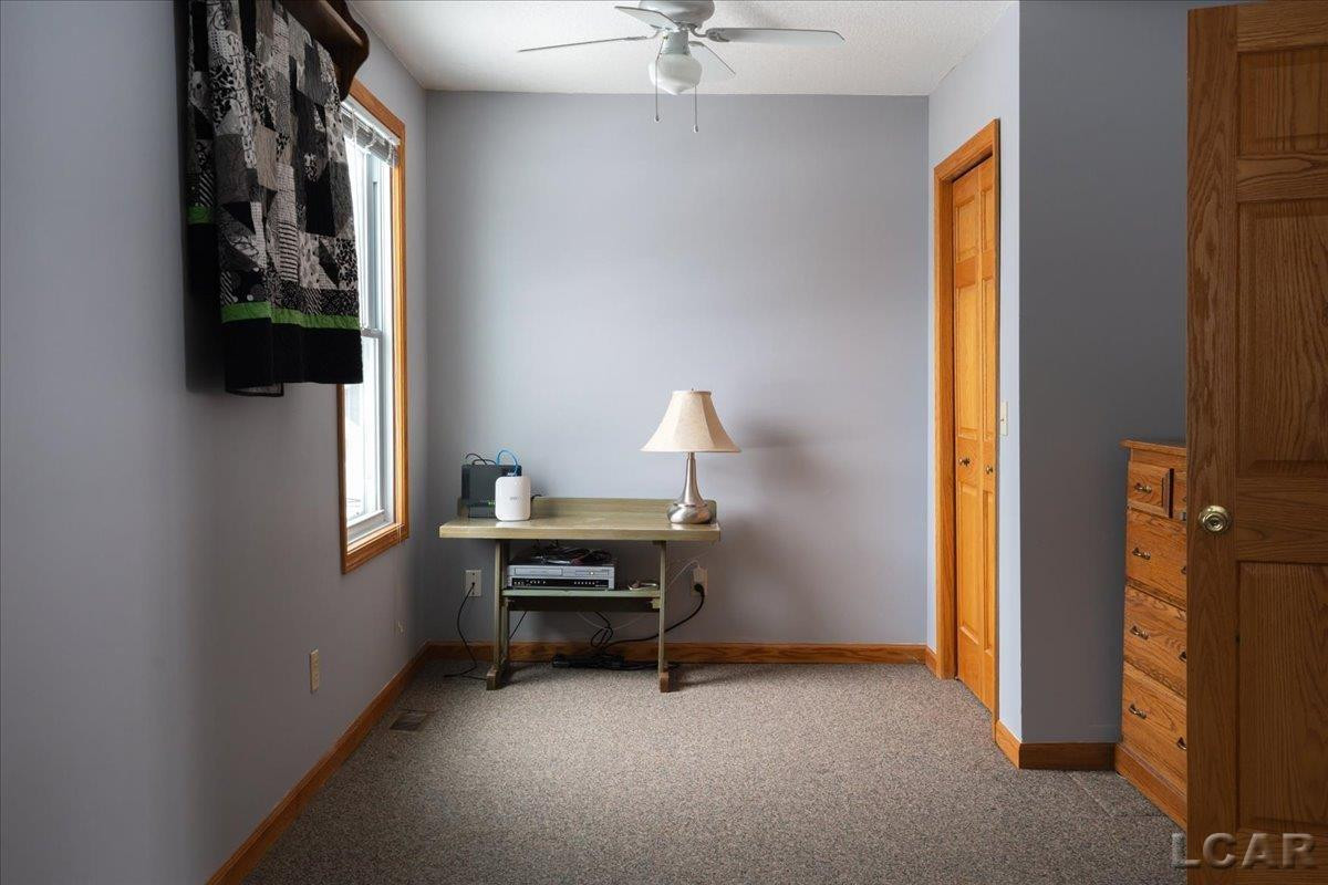 9920 W Ferndale Drive, Manitou Beach, MI 49253 — Photo 33