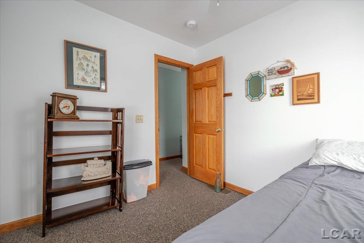 9920 W Ferndale Drive, Manitou Beach, MI 49253 — Photo 41