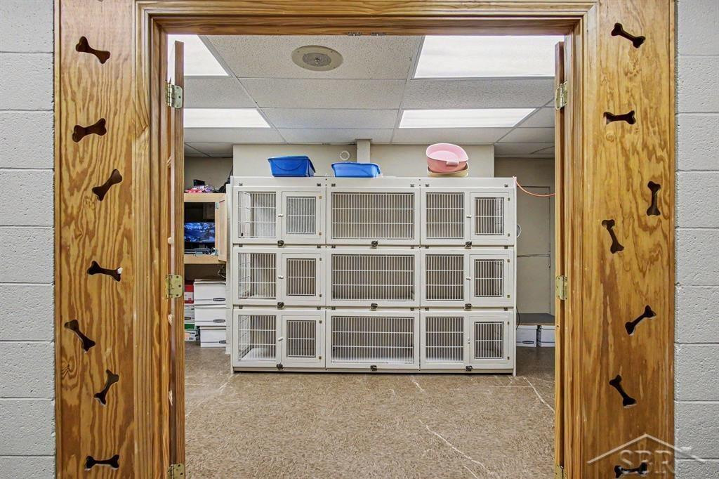 000 Kennel Drive, Rockford, MI 49341 — Photo 8