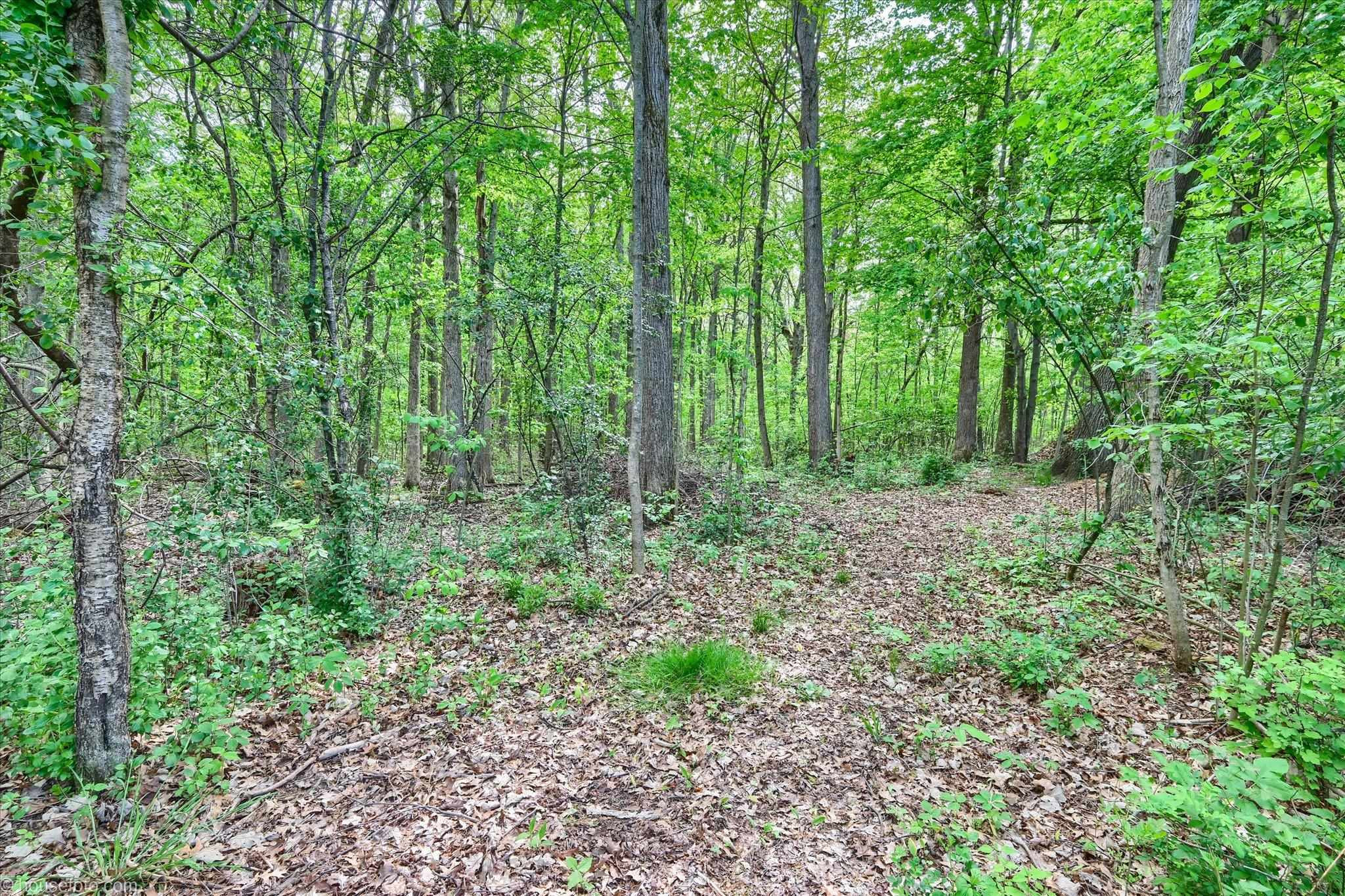 2231 W Dodge Road, Clio, MI 48420 — Photo 45