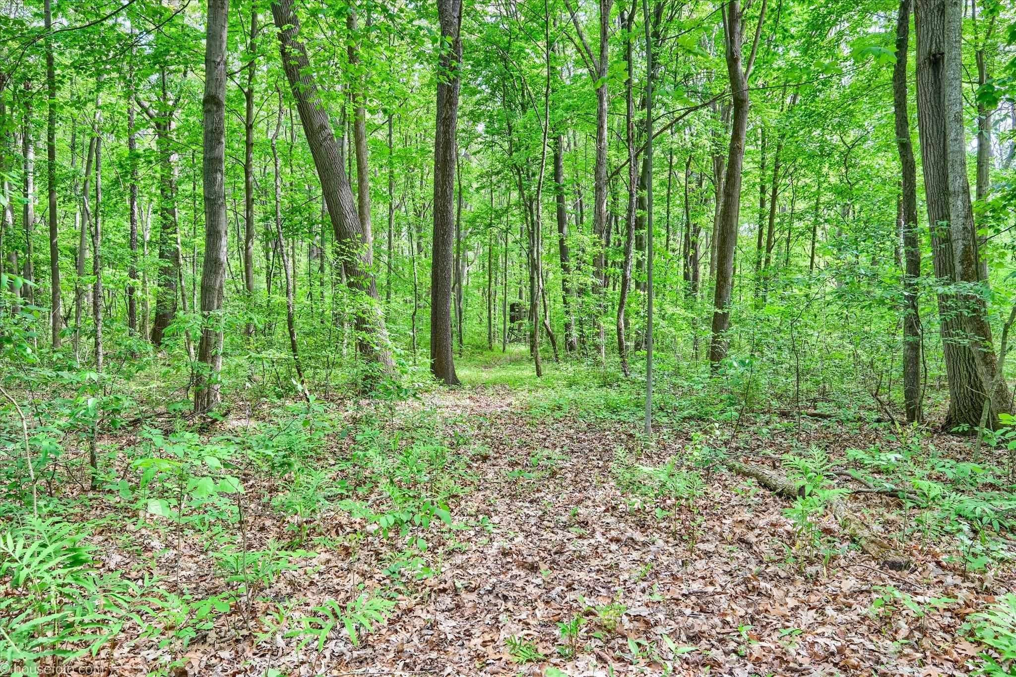 2231 W Dodge Road, Clio, MI 48420 — Photo 46