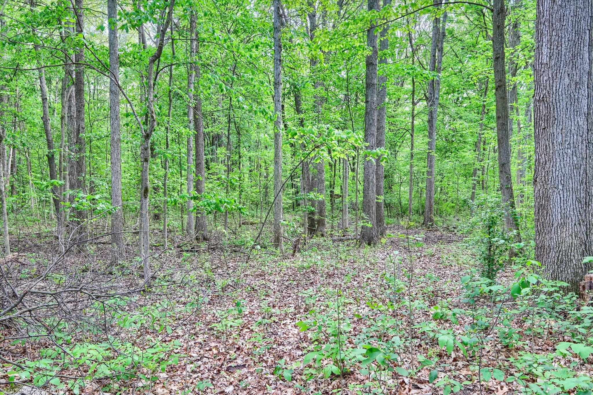 2231 W Dodge Road, Clio, MI 48420 — Photo 47