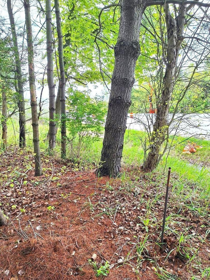 Parcel 2 Lakeshore Road, MI — Photo 13