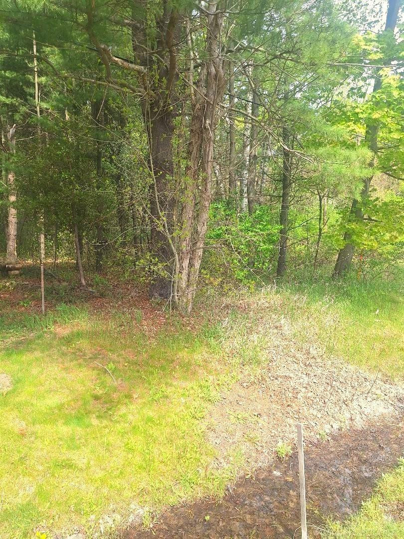 Parcel 2 Lakeshore Road, MI — Photo 14