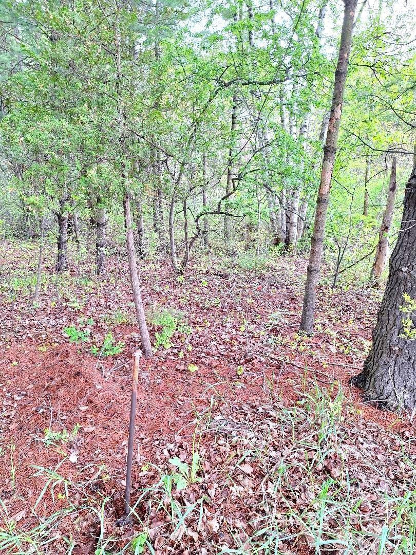 Parcel 2 Lakeshore Road, MI — Photo 17