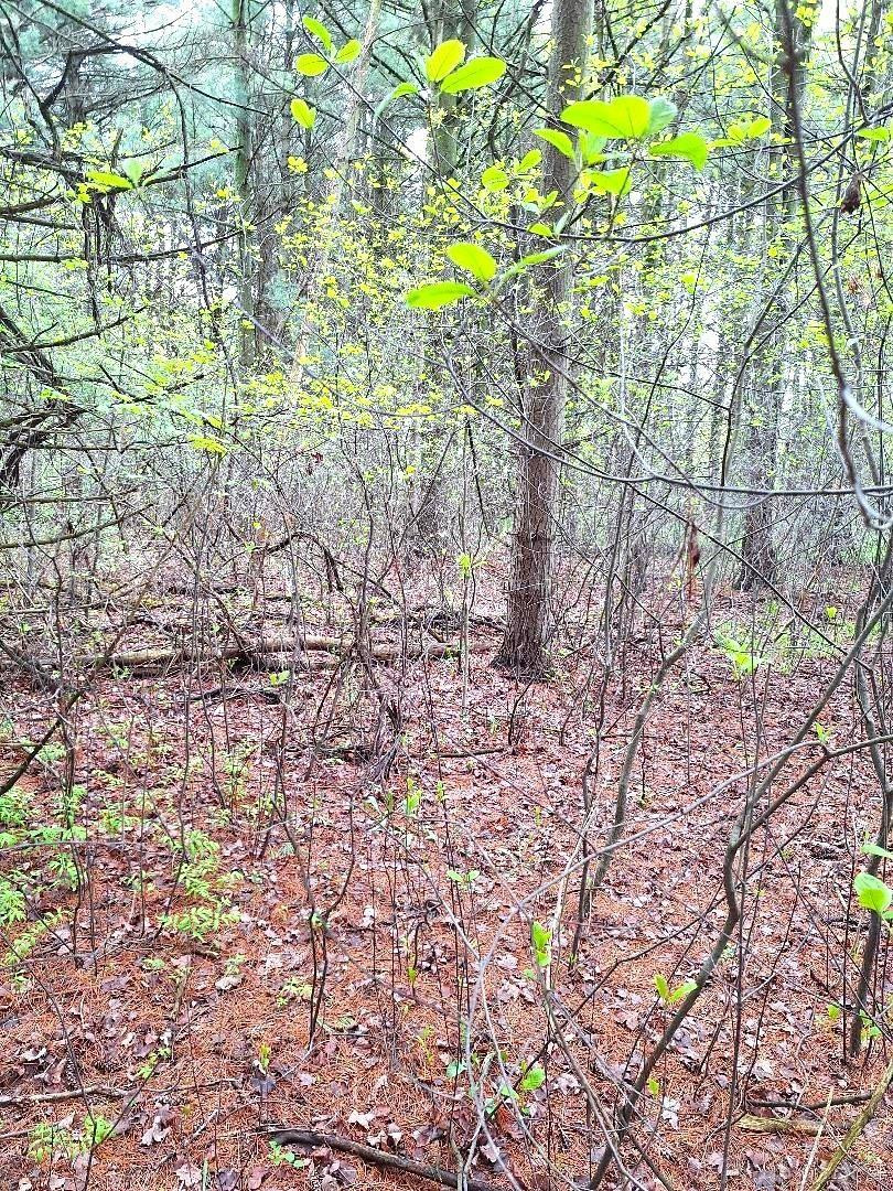 Parcel 2 Lakeshore Road, MI — Photo 21