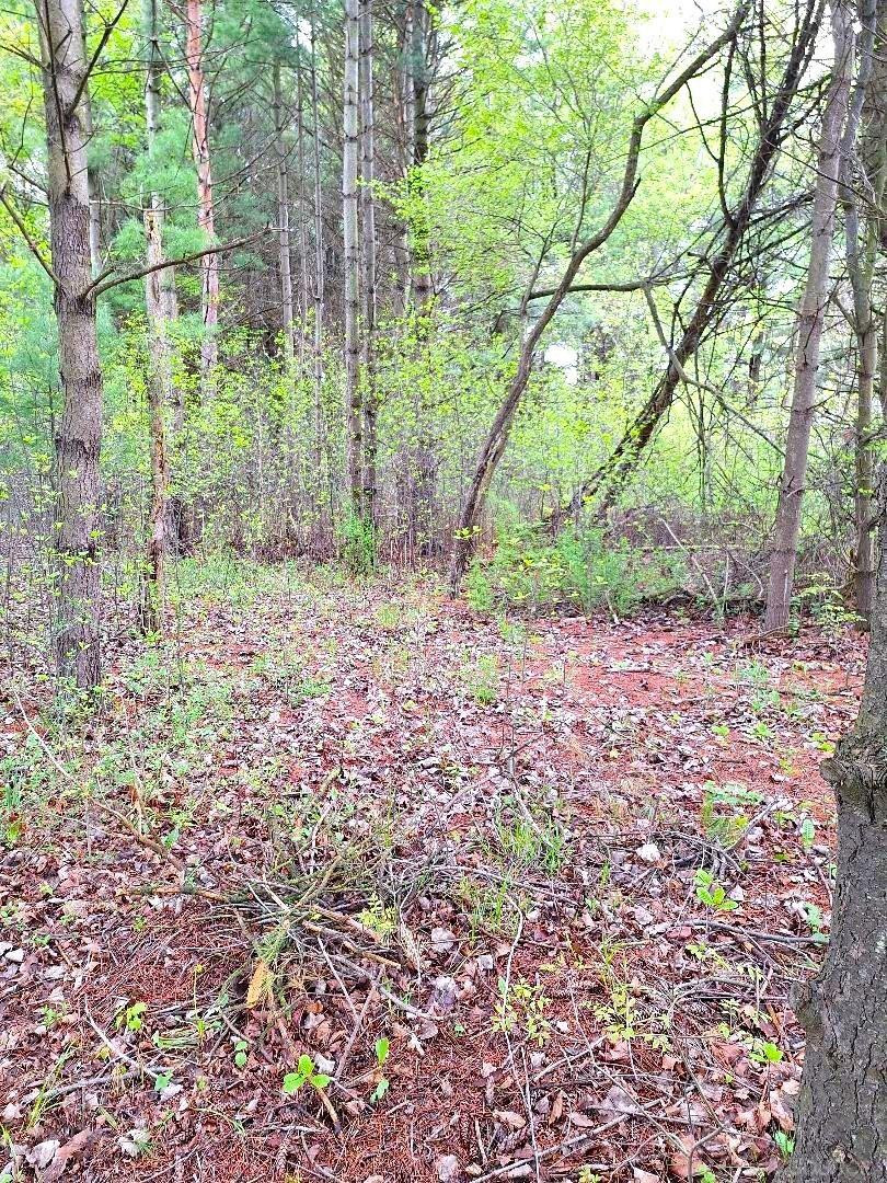 Parcel 2 Lakeshore Road, MI — Photo 22