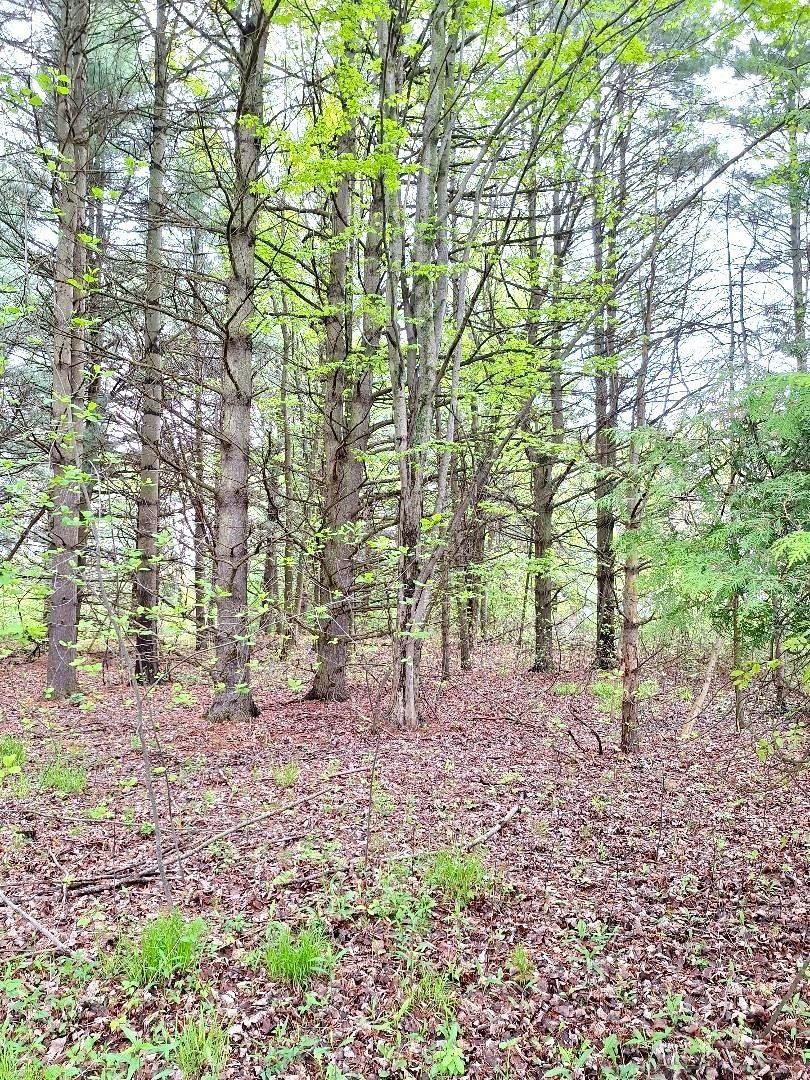 Parcel 2 Lakeshore Road, MI — Photo 23