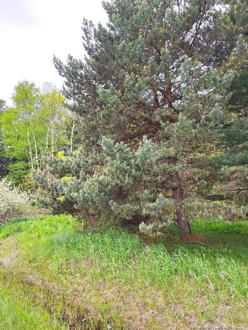 Parcel 2 Lakeshore Road, MI — Photo 24