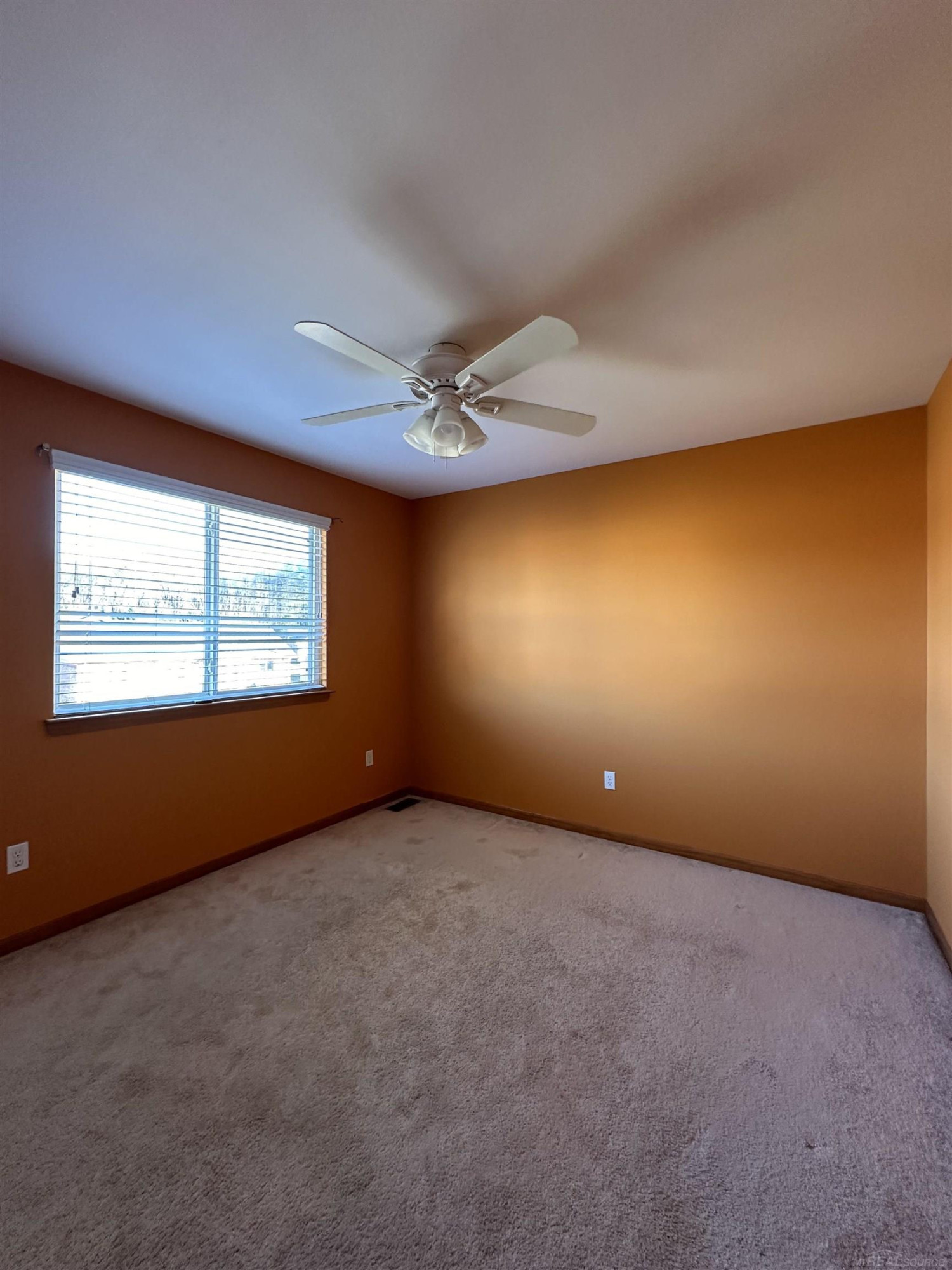 45344 Debbie Court, MI 48042 — Photo 28