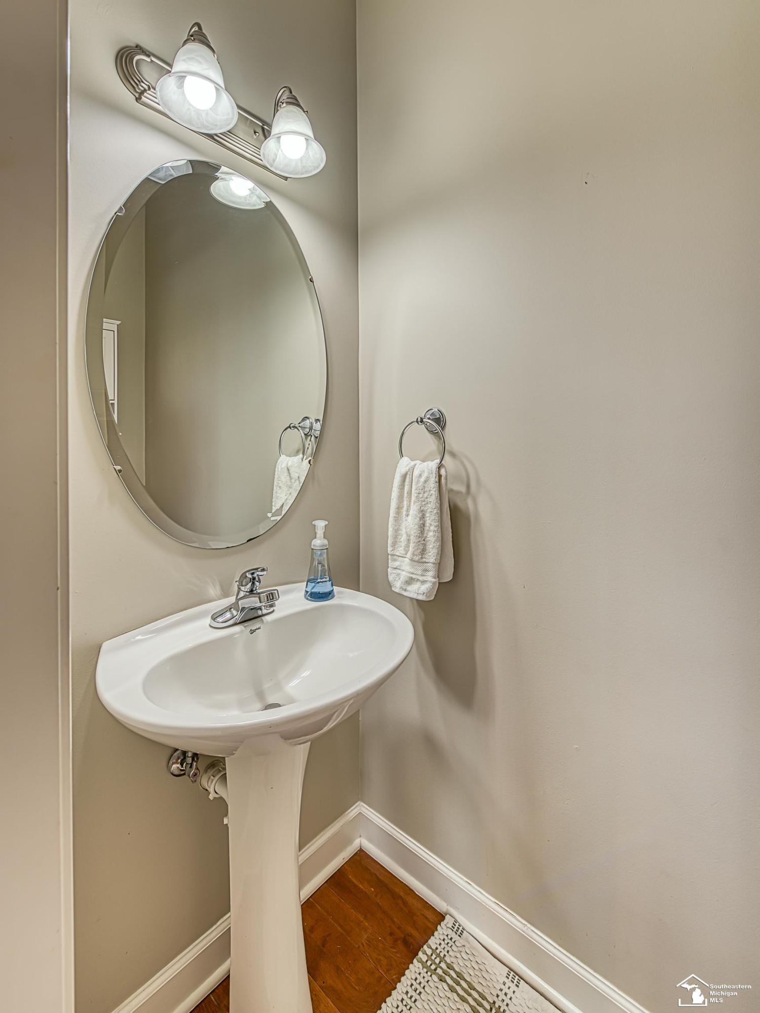 453 Corinth Circle, Dundee, MI 48131 — Photo 19