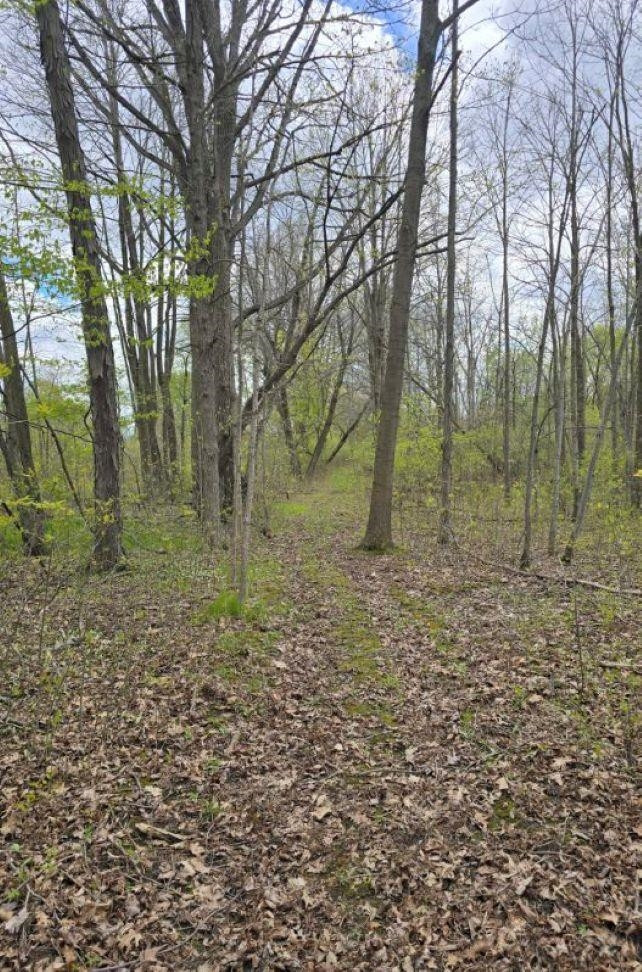 2119 E Vienna Road, Clio, MI 48420 — Photo 87