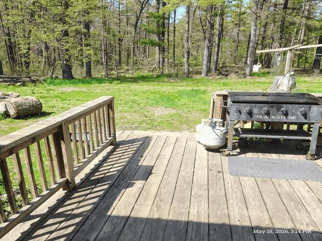 6230 Shellenbarger Road, Hale, MI 48739 — Photo 18
