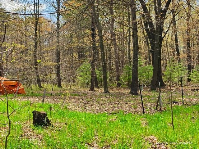 6230 Shellenbarger Road, Hale, MI 48739 — Photo 22