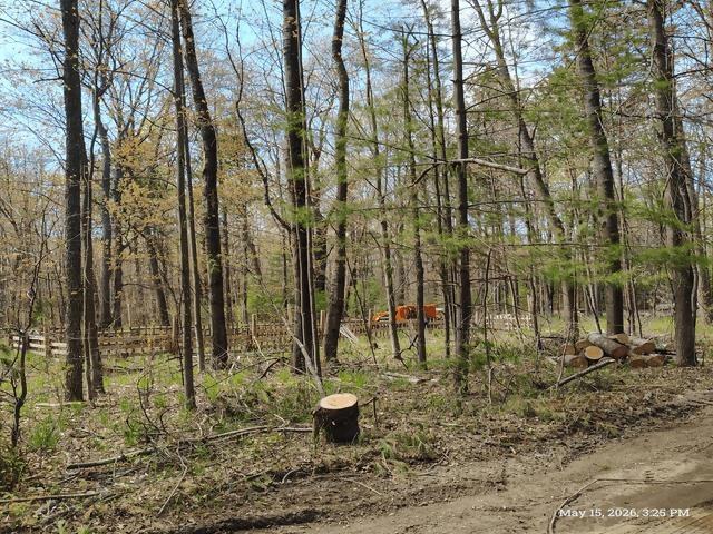 6230 Shellenbarger Road, Hale, MI 48739 — Photo 36