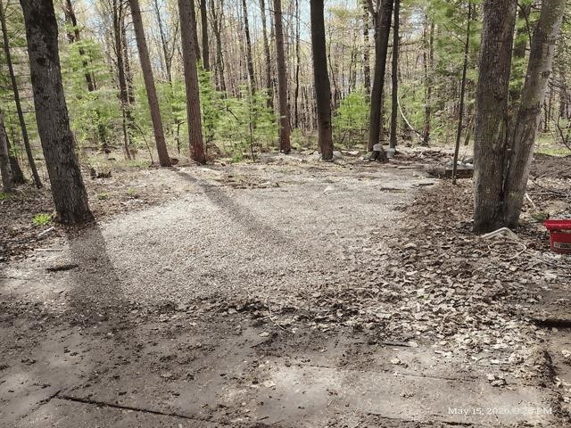 6230 Shellenbarger Road, Hale, MI 48739 — Photo 38