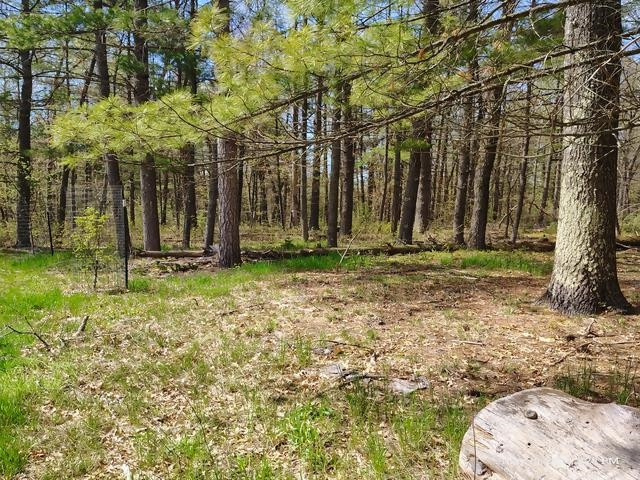 6230 Shellenbarger Road, Hale, MI 48739 — Photo 39