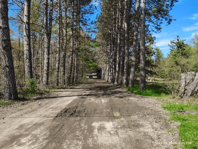 6230 Shellenbarger Road, Hale, MI 48739 — Photo 40