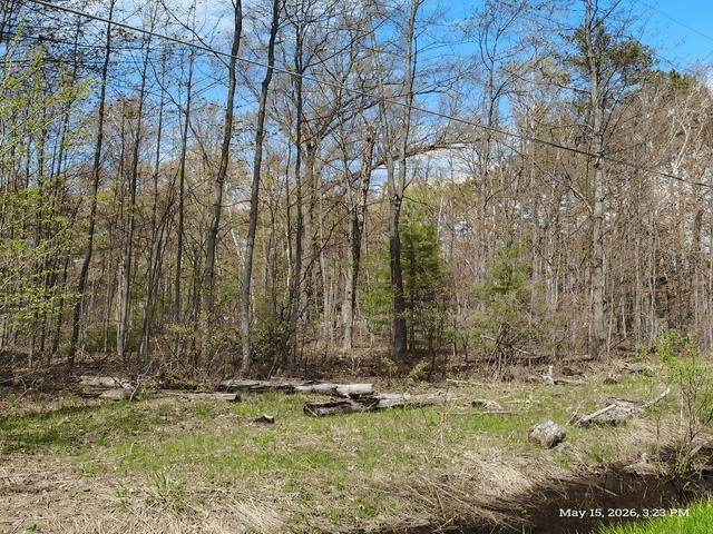 6230 Shellenbarger Road, Hale, MI 48739 — Photo 46