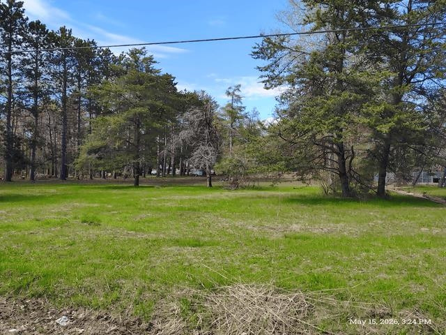 6230 Shellenbarger Road, Hale, MI 48739 — Photo 47