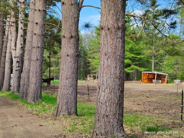 6230 Shellenbarger Road, Hale, MI 48739 — Photo 48