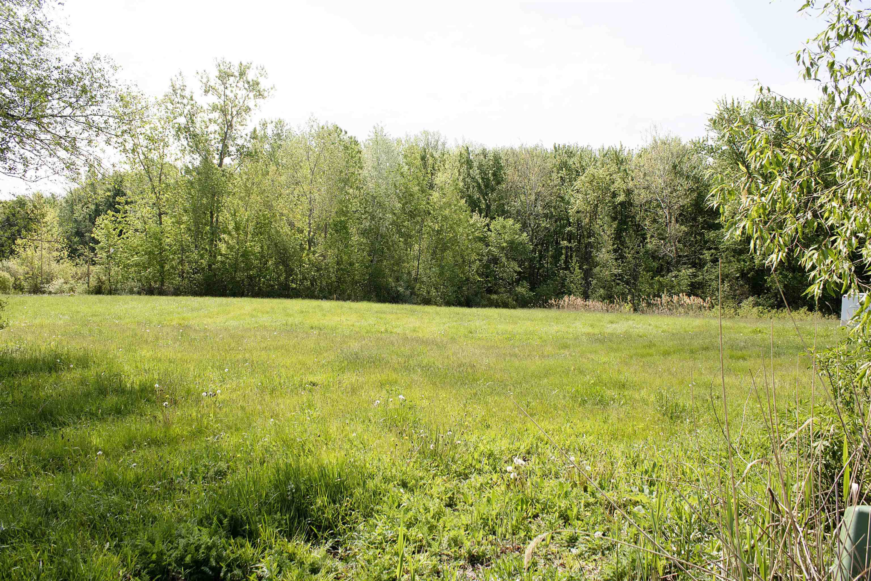 50012 S Angelo Court, New Baltimore, MI 48047 — Photo 8