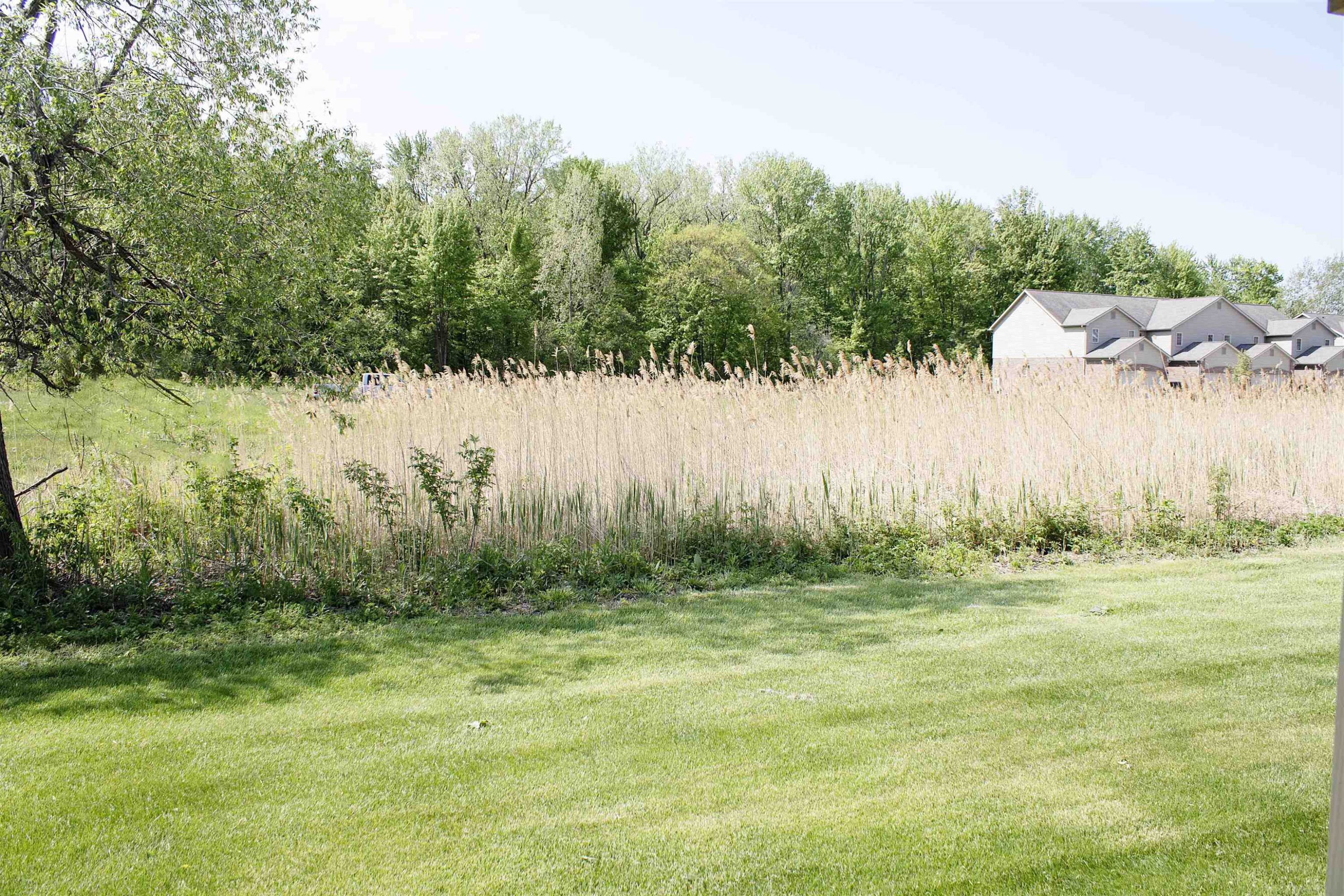 50012 S Angelo Court, New Baltimore, MI 48047 — Photo 9